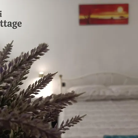 Vendégház Bari Cottage 3*